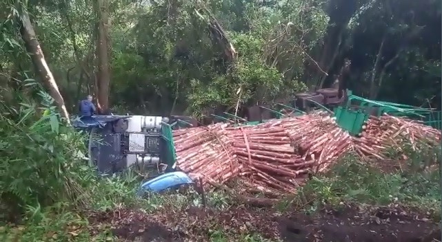 Caminhão de madeiras cai em ribanceira às margens da ERS-020 em Três Coroas