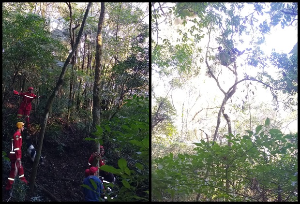 Bombeiros Voluntários resgatam piloto de paraglider que ficou preso em árvore em Rolante