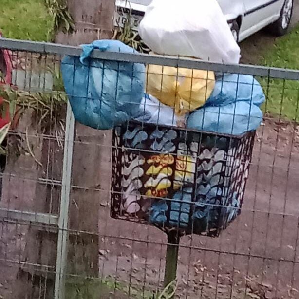 Vereadores anunciam nova troca na empresa de recolhimento de lixo em Taquara