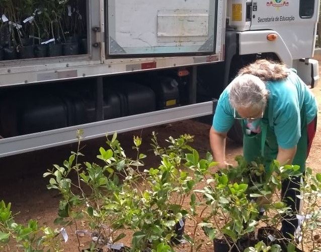 Alunos de Taquara farão o plantio de 675 mudas de árvores na próxima segunda-feira (31)