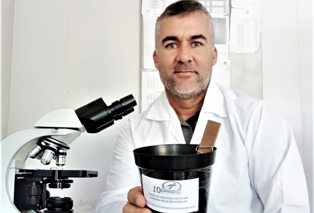 Parobé testa nova estratégia para monitoramento do Aedes aegypti