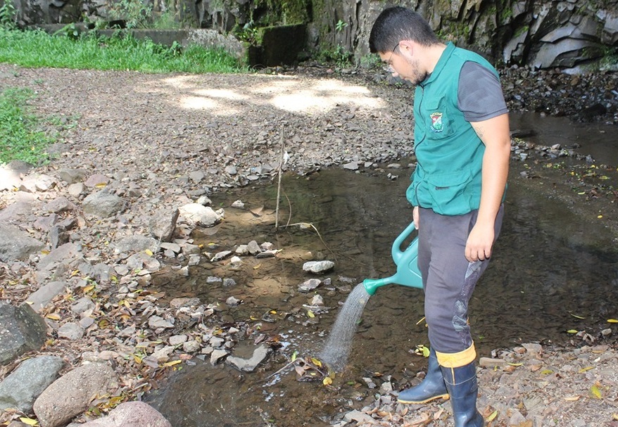 Vigilância Ambiental de Três Coroas realiza ação de combate ao mosquito borrachudo