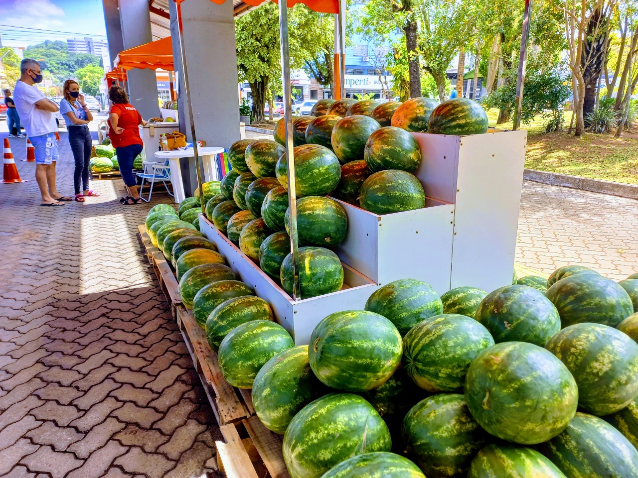 Venda de melancias em Taquara terá início nesta terça-feira (20)