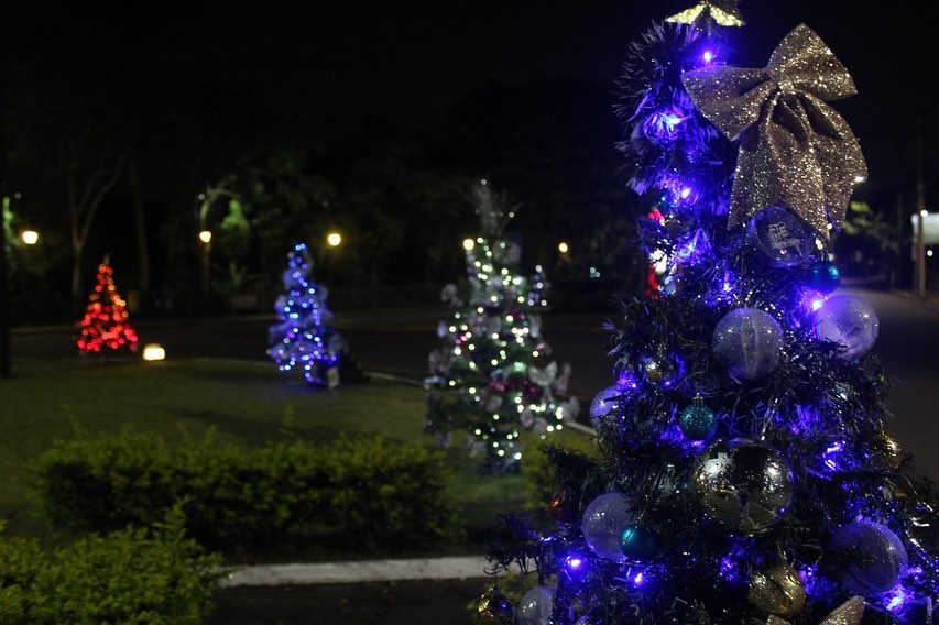 Prefeitura de Igrejinha repudia vandalismo no Caminho dos Pinheirinhos