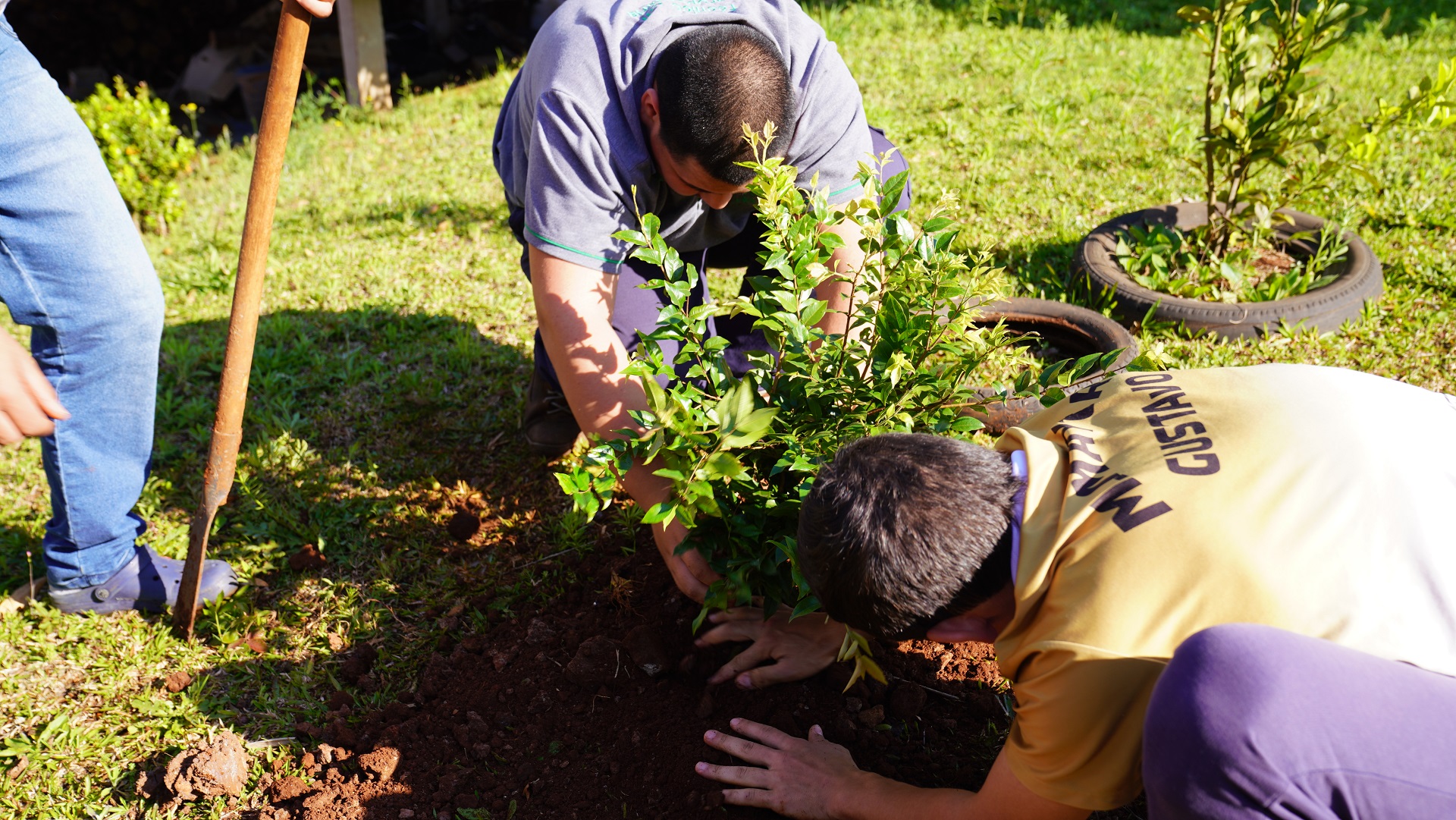 Projeto Mudar do Sicoob MaxiCrédito alcança nove mil mudas plantadas em 2022