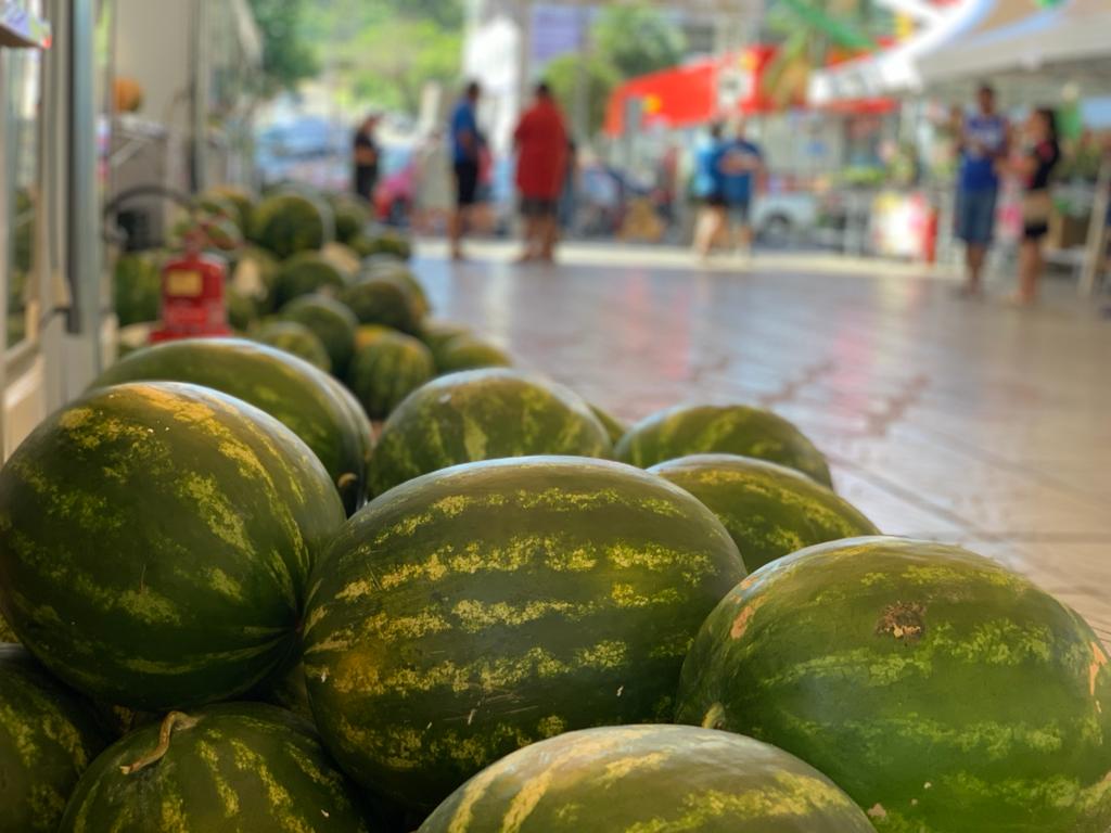 Prefeitura divulga números de comercialização da 17ª Festa da Melancia de Parobé