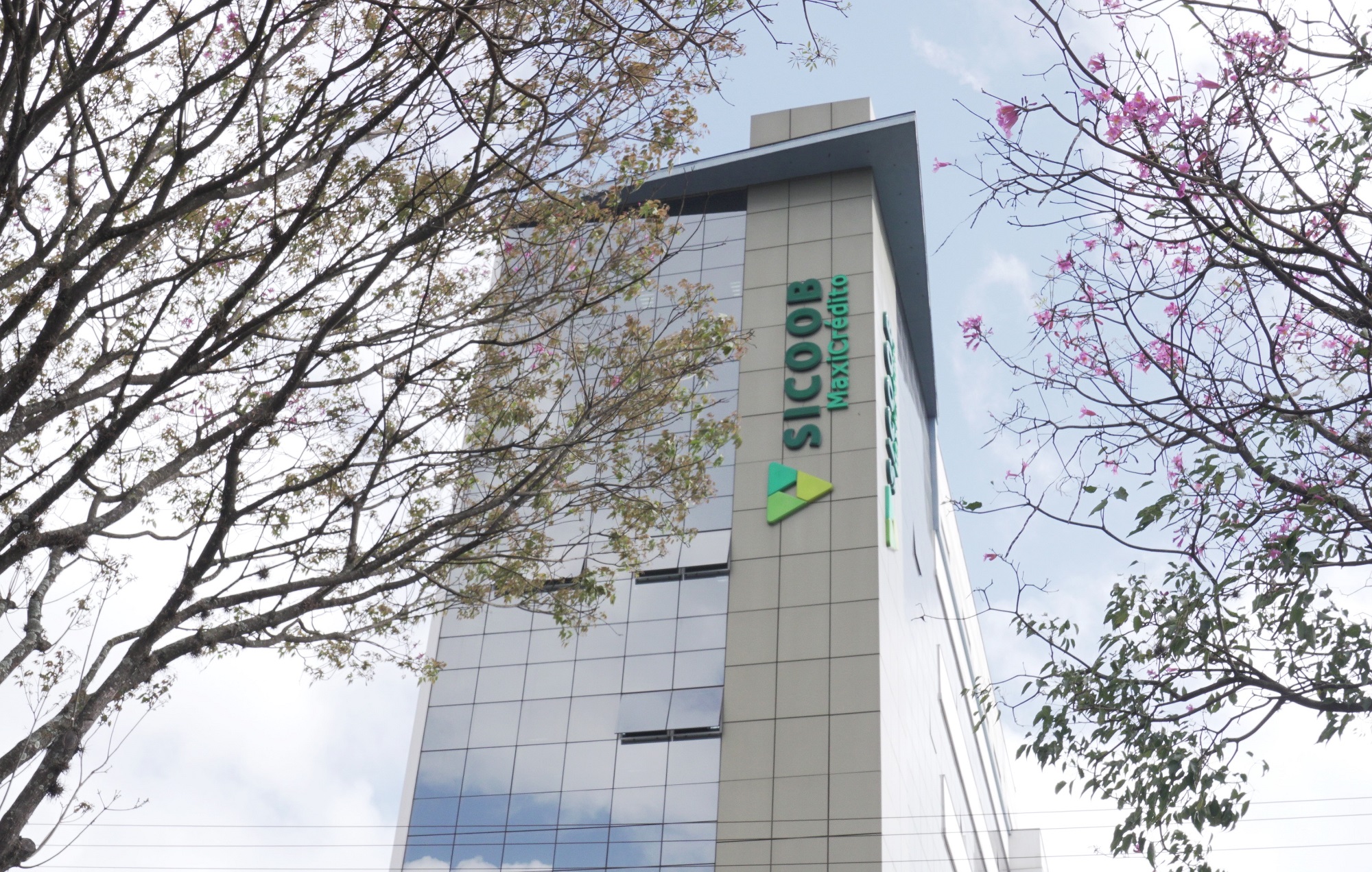 Sicoob MaxiCrédito destina mais de R$ 24,5 milhões em juros ao capital para os associados