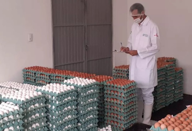 Empresas que comercializam produtos de origem animal em Igrejinha agora podem aderir ao SUSAF