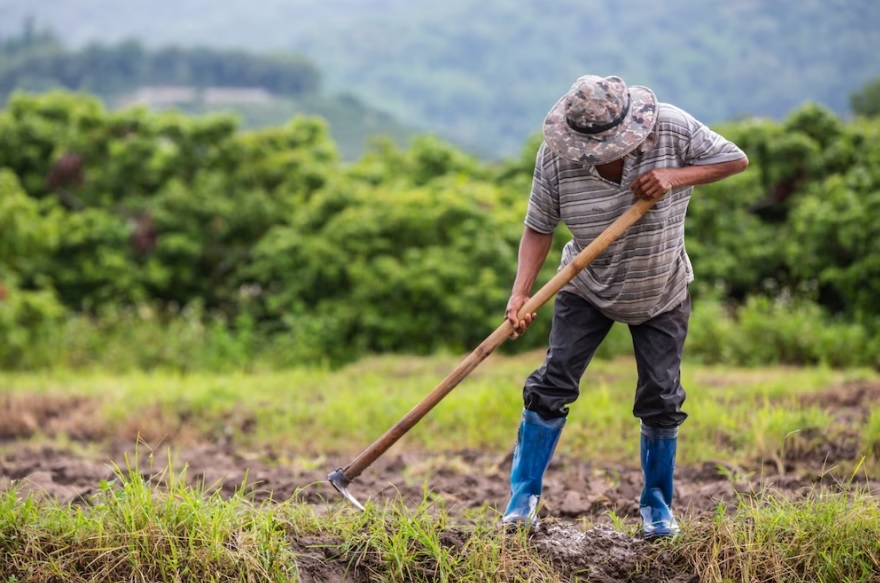 Agricultores de Três Coroas devem apresentar seu Bloco do Produtor