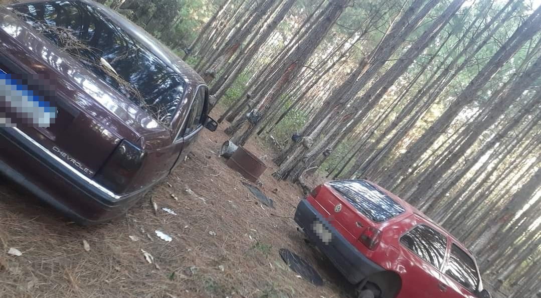 Veículos furtados em Parobé são encontrados dias depois em um matagal no interior do município