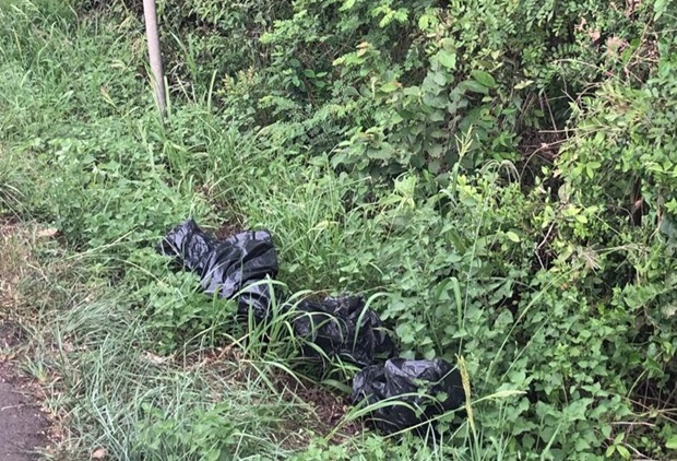 Saco plástico com perna humana é encontrado na ERS-474 em Rolante