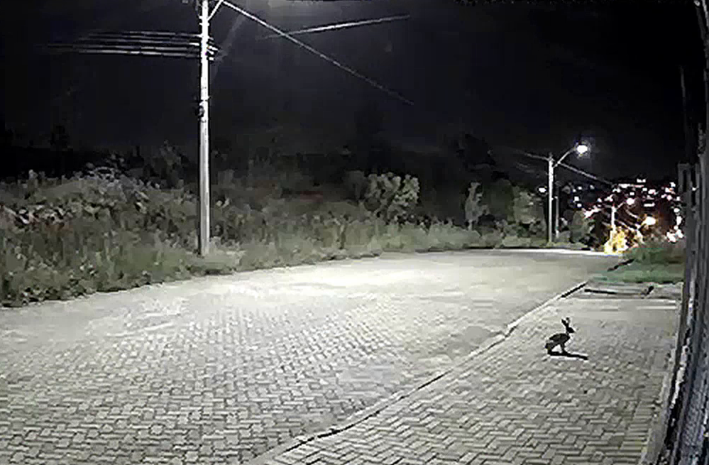 Observatório Heller & Jung recebe a visita do "Coelhinho da Páscoa" em Taquara