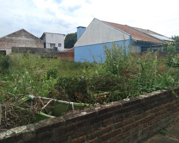 Secretaria de Meio Ambiente de Taquara divulga edital para a limpeza de terrenos baldios