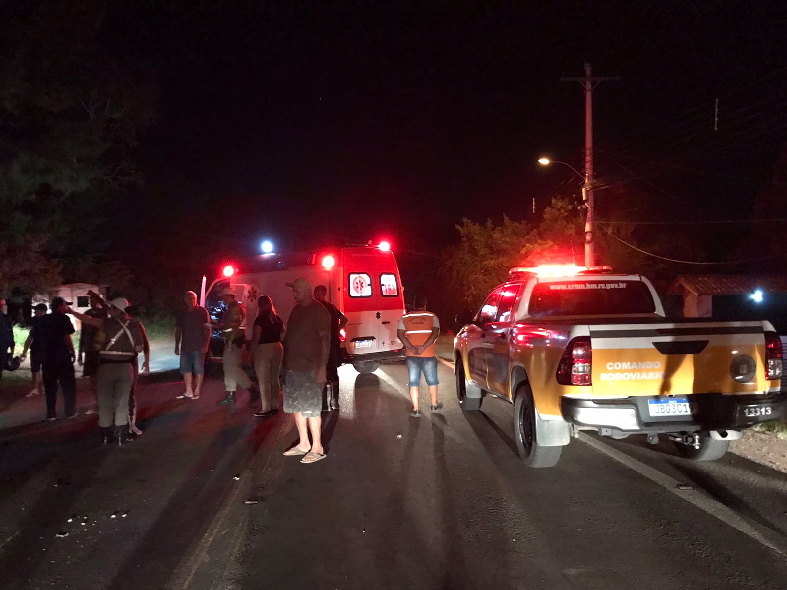 Búfalo solto em rodovia provoca acidente na ERS-020