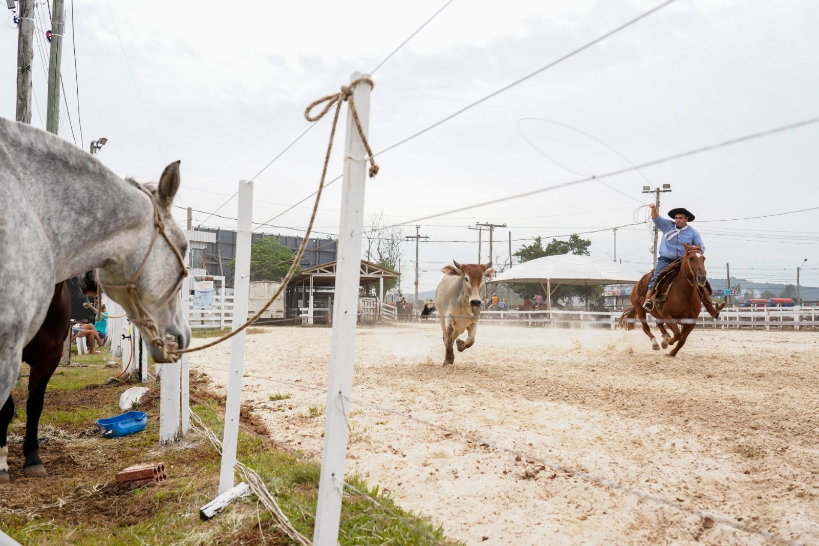 Festão Campeiro promove provas de tiro de laço no Taquara Campo