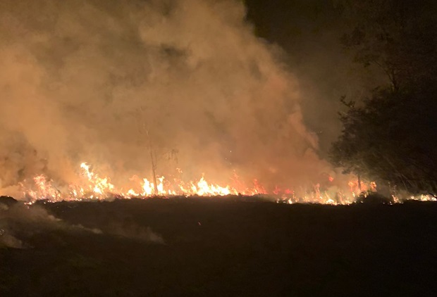 Bombeiros de Taquara e Parobé combatem incêndio em mato por mais de três horas no interior de Taquara