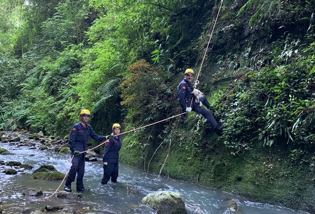 Corpo de Bombeiros Militar de Taquara resgata cachorro preso numa altura de 15 metros