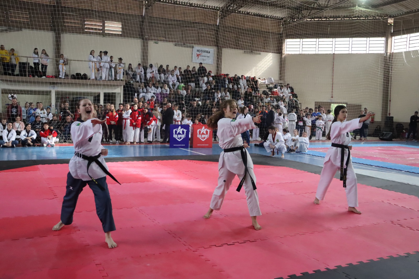 Mais de 400 atletas participam do XXII Rolante Taekwondo Open