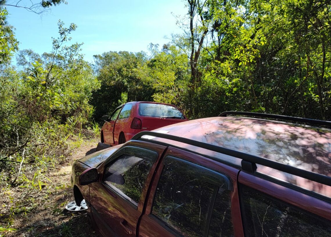Veículos furtados são encontrados 'depenados' às margens da ERS-239 em Parobé