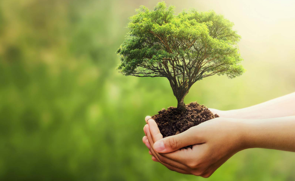 Parobé promove programação para celebrar o mês do Meio Ambiente