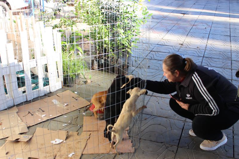 Secretaria de Meio Ambiente de Parobé irá promover o Sábado Ecolegal