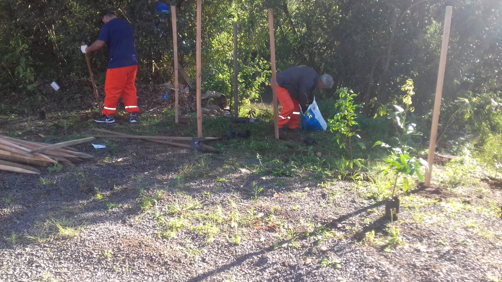 Amifest desenvolve projeto de preservação e recuperação da mata ciliar