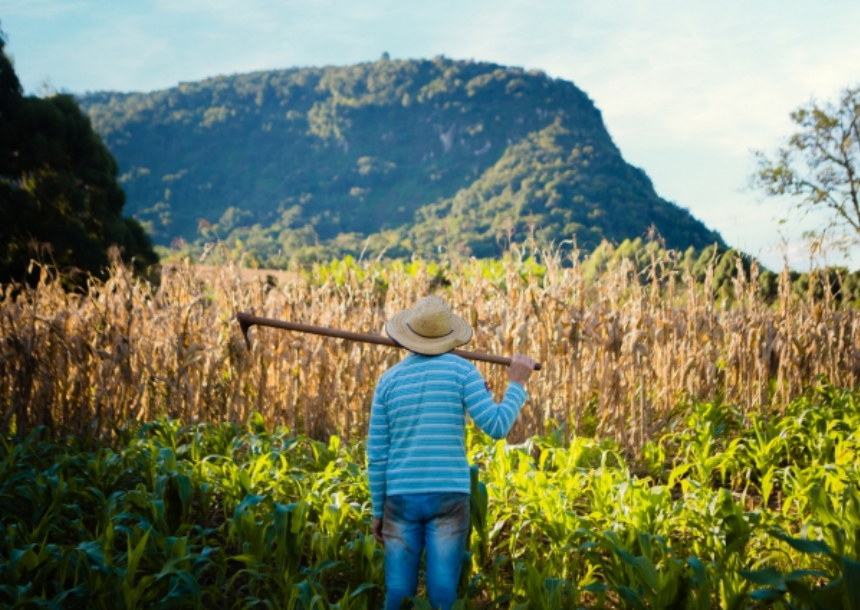 25ª Expofeira - Feira do Colono de Três Coroas ocorre neste final de semana com entrada gratuita