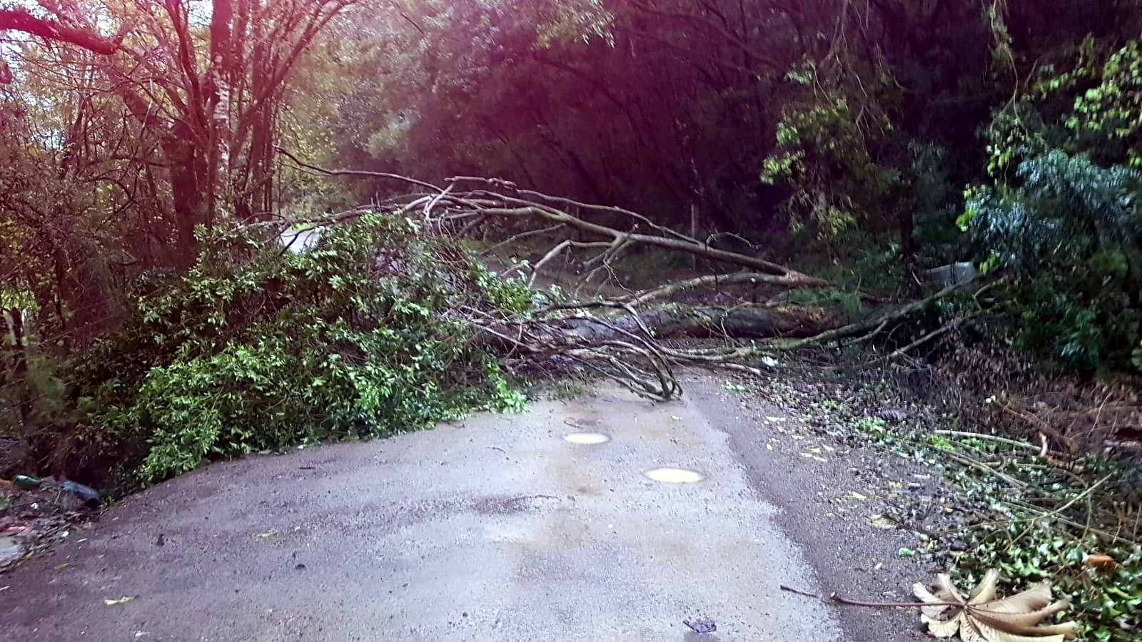 Novo ciclone extratropical causa poucos estragos no Vale do Paranhana