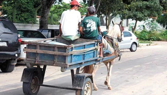 Prefeitura de Taquara dará início a regularização dos veículos de tração animal