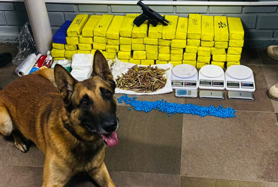 MPRS deflagra operação em Taquara e Parobé contra grupo criminoso suspeito de homicídio em frente à revenda de veículos