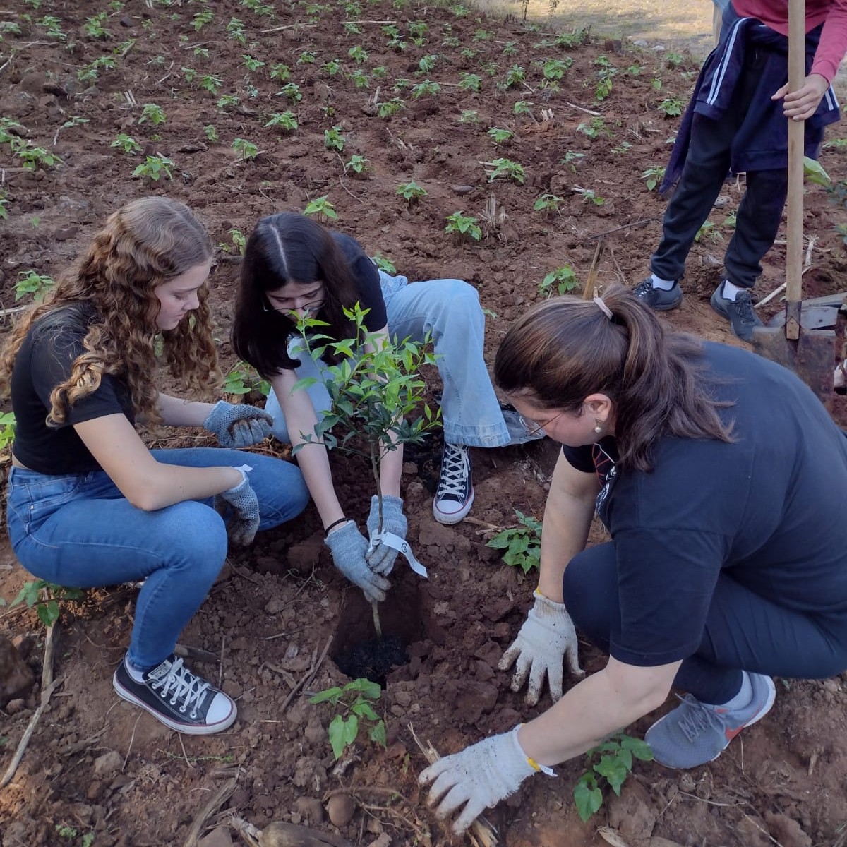 Alunos realizam plantio de mudas frutíferas no projeto Pomares Urbanos em Três Coroas