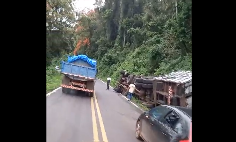 Caminhão carregado de bovinos tomba na ERS-020 e animais circulam pela rodovia em Igrejinha