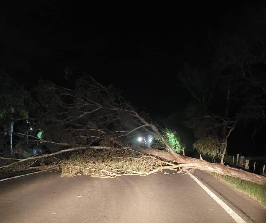 Ventos fortes causam transtornos no Vale do Paranhana