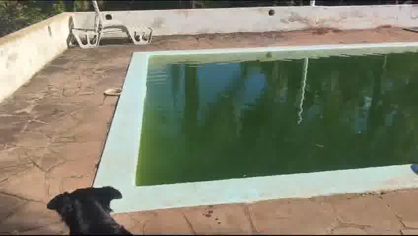 Justiça nega prisão preventiva de responsáveis por lar clandestino