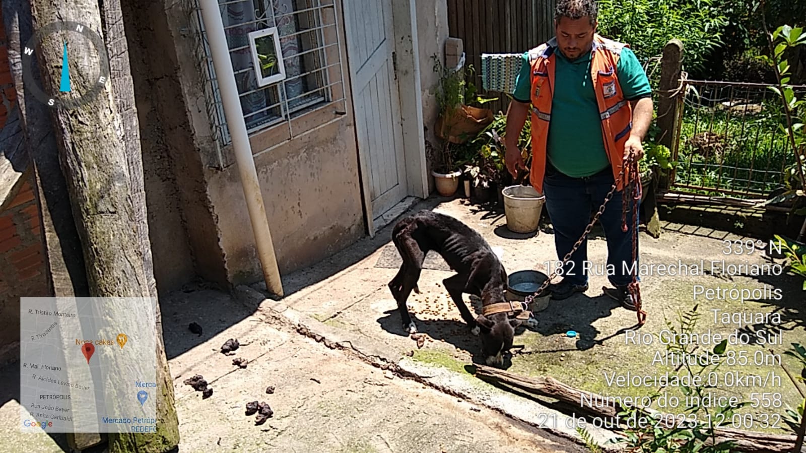 Defesa Civil de Taquara resgata cães abandonados e denuncia sua tutora à Polícia Civil