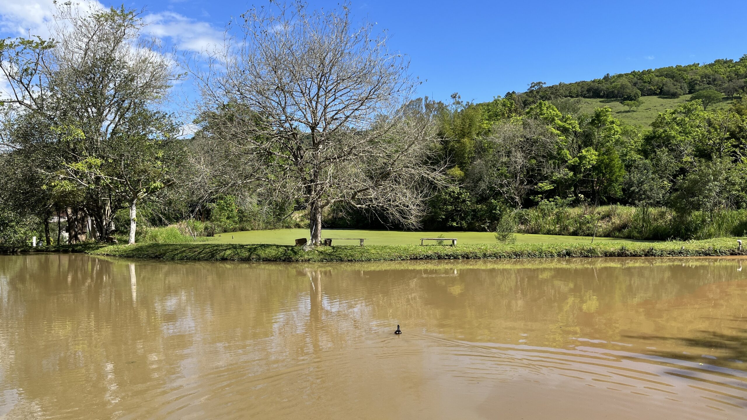 Pesque e Pague é a nova atração do Prommer Ecopark em Igrejinha