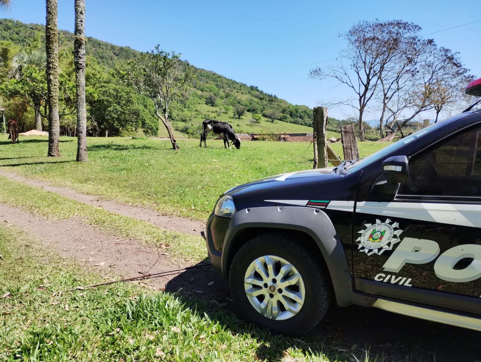 Três armas são apreendidas e um indivíduo é preso pela polícia em Taquara