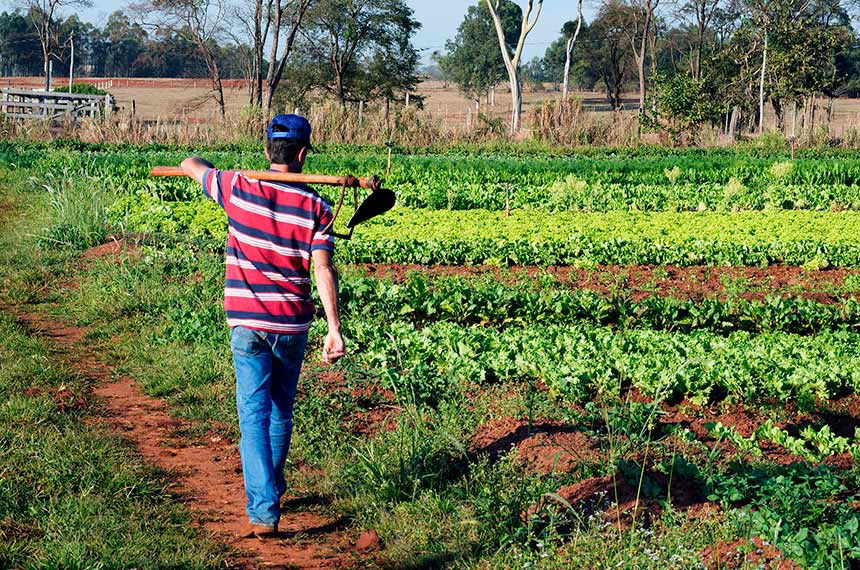 Agricultores familiares contam com mais R$ 250 milhões para Programa de Aquisição de Alimentos da Conab