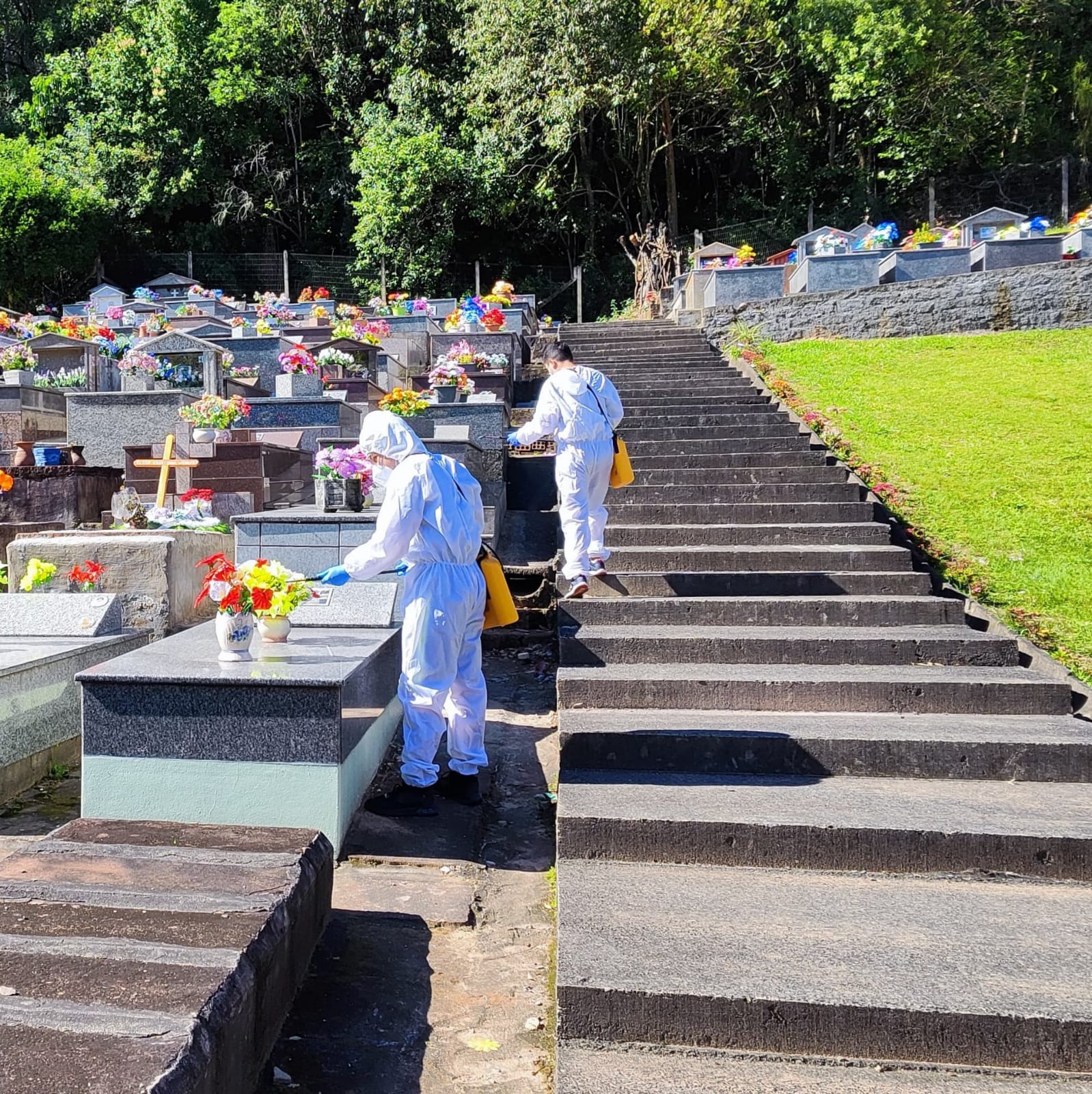 Inseticida contra o mosquito Aedes aegypt é aplicado nos cemitérios de Três Coroas