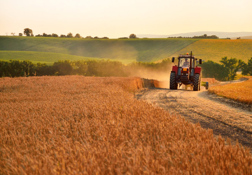 Secretaria de Agricultura de Igrejinha divulga atendimentos rurais realizados no mês de outubro