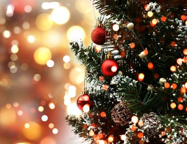 Três Coroas abre inscrições para o Festival de Pinheiros no Natal na Cidade Verde