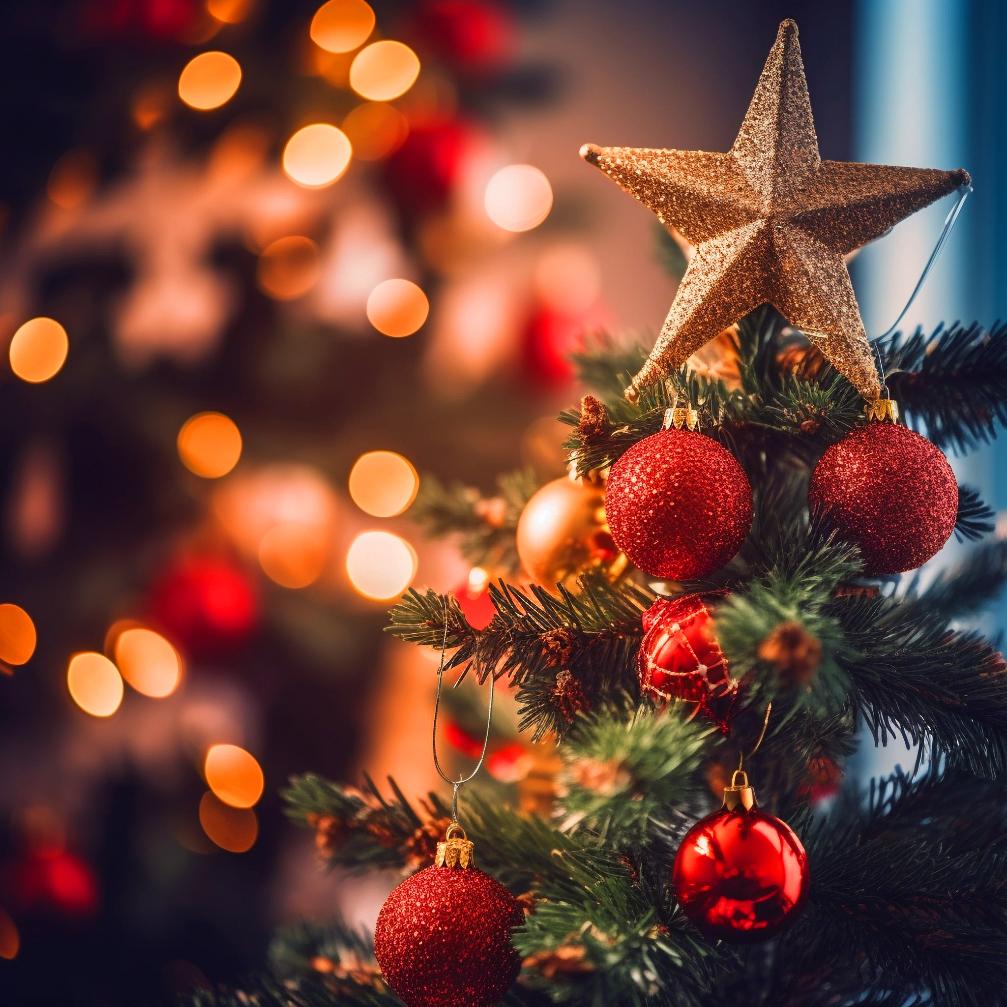 Programação do Natal na Cidade Verde terá início neste domingo (19) em Três Coroas