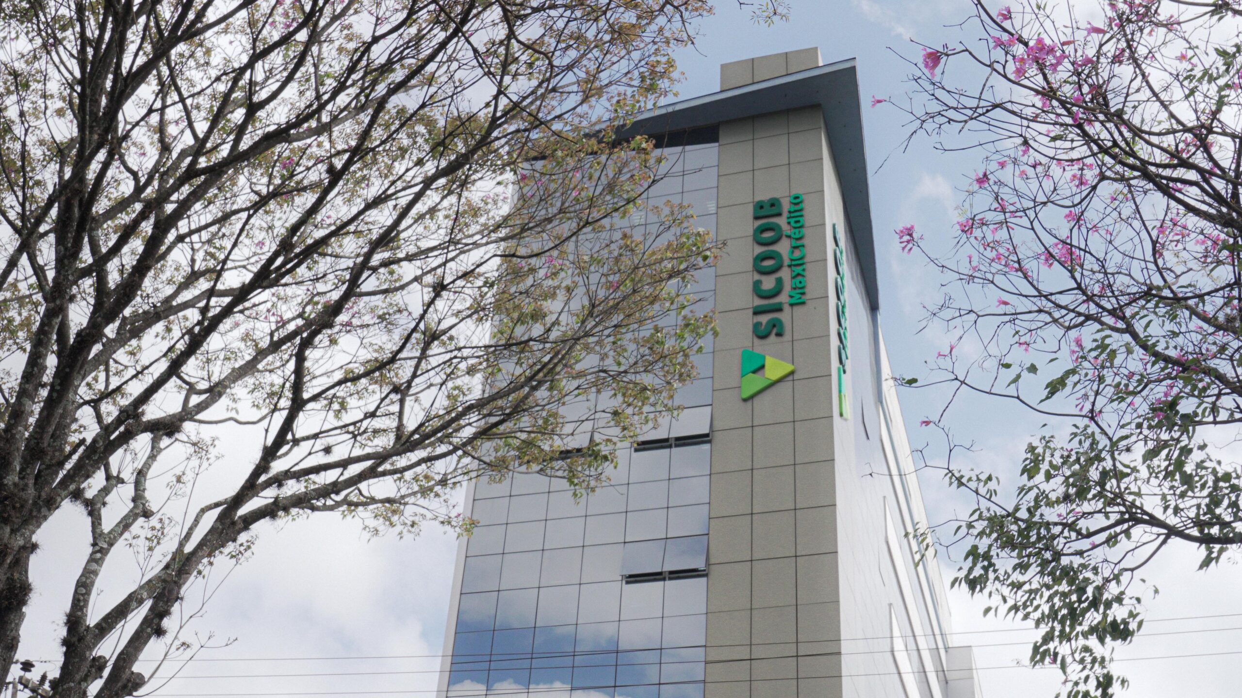 Terceira edição do Fundo Social do Sicoob MaxiCrédito abre inscrições; saiba como participar