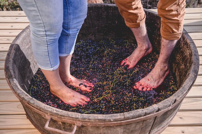 Riozinho realizará a 1ª Feira da Uva nos dias 2 e 3 de fevereiro