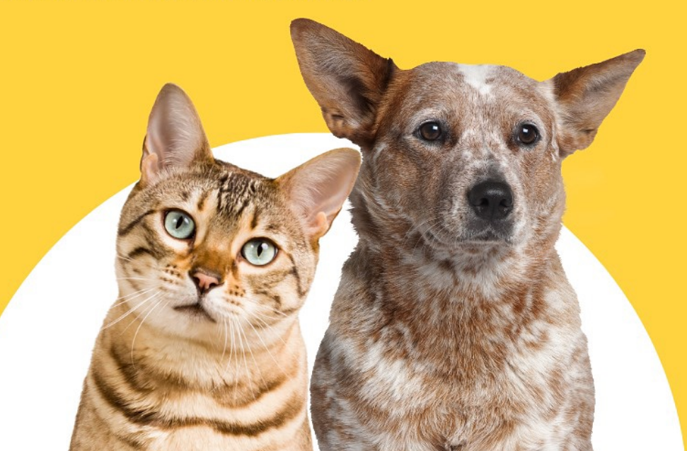 Igrejinha divulga critérios para utilização do atendimento no Castra Fixo