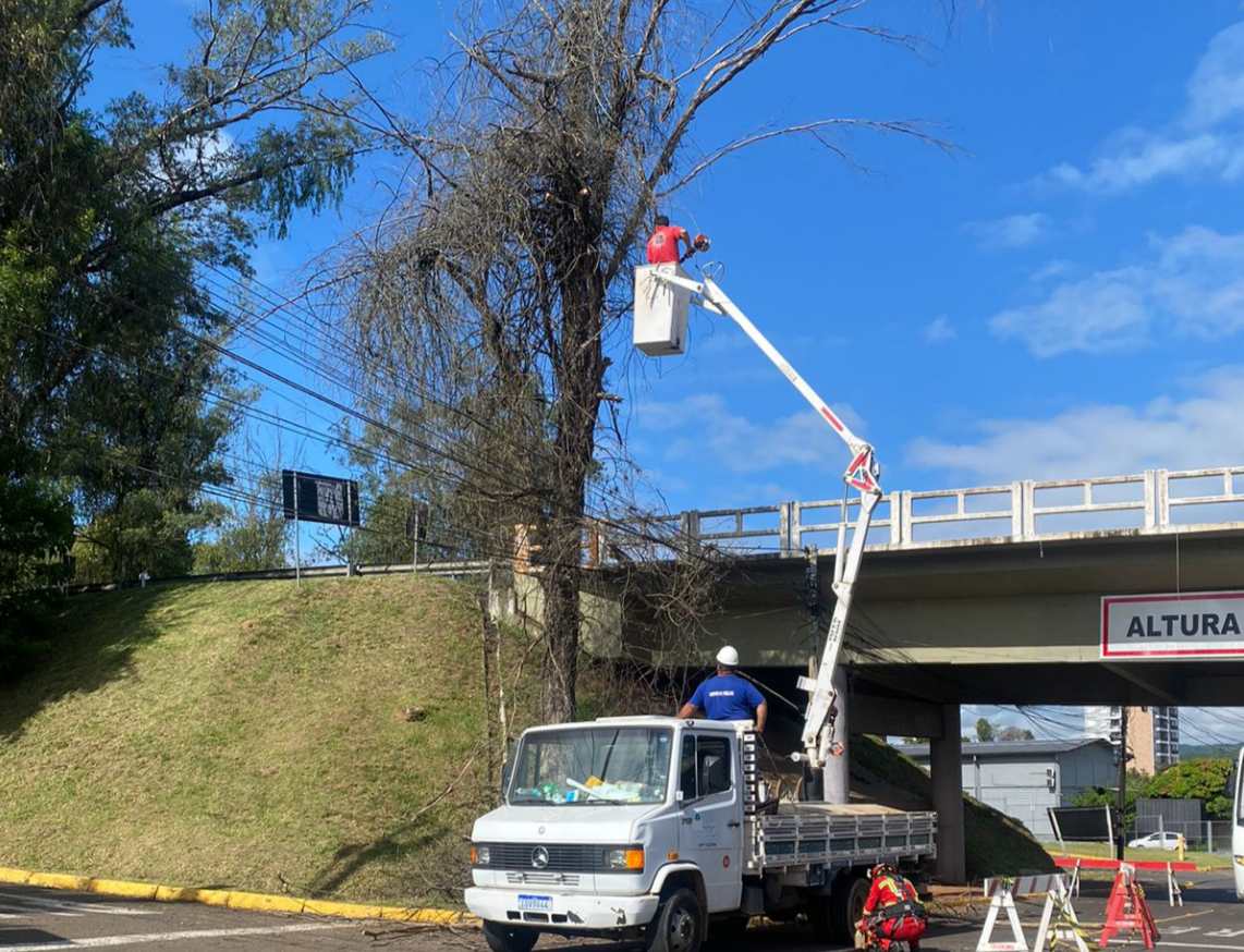 Árvore que corria risco de queda é retirada pelos Bombeiros Voluntários de Igrejinha
