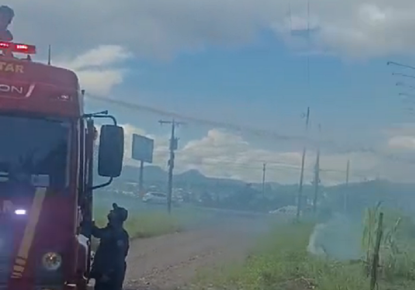 Vídeo: Bombeiros combatem incêndio em vegetação às margens da ERS-239 em Parobé
