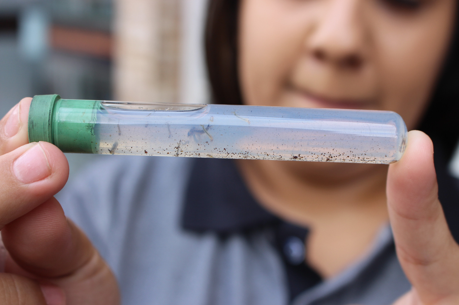 Vigilância em Saúde Ambiental de Parobé realizará pesquisa de focos do Aedes aegypti no município