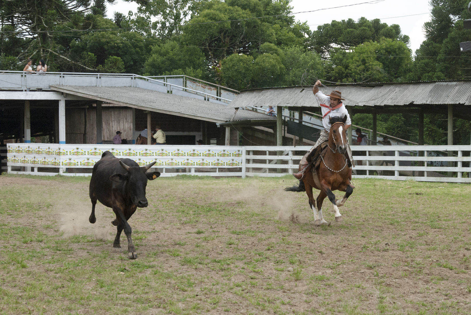 39º Rodeio de Canela terá início no dia 11
