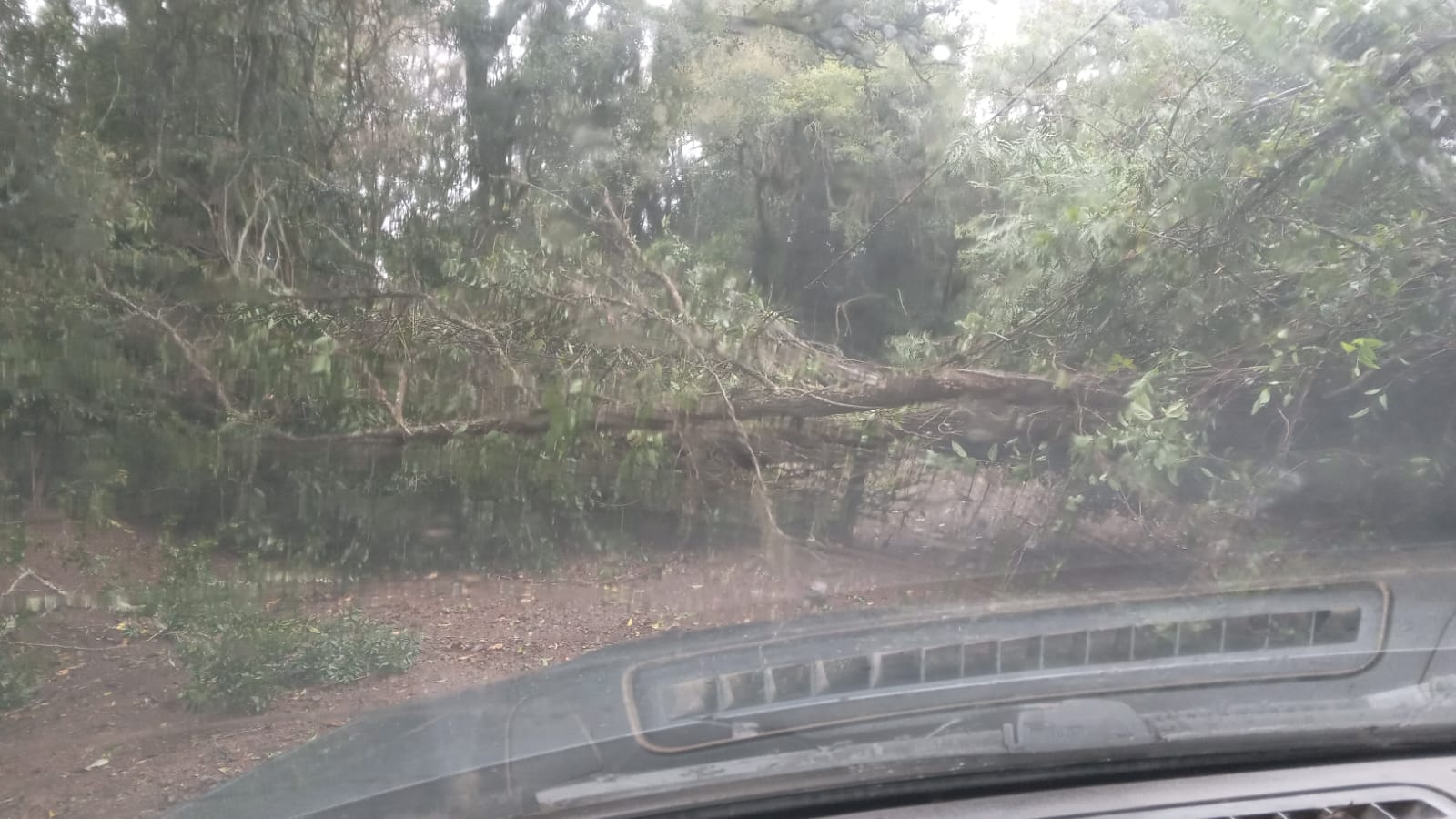 Parobé e Três Coroas registram poucos estragos após passagem de vendaval desta quinta-feira (21)